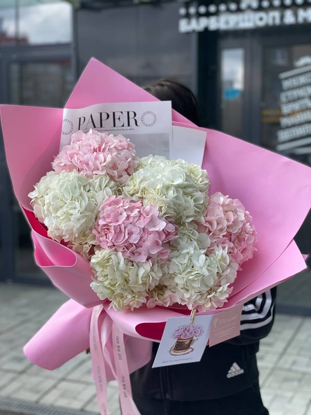 7 гортензий