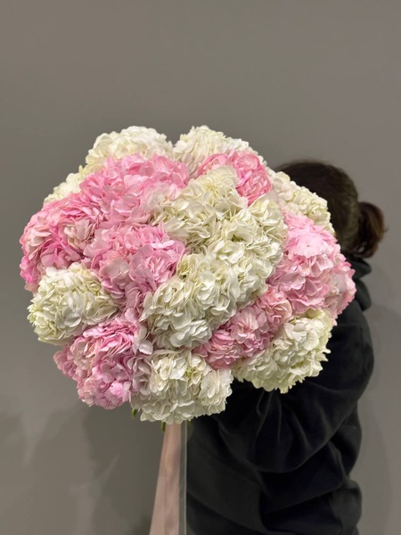 19 гортензий