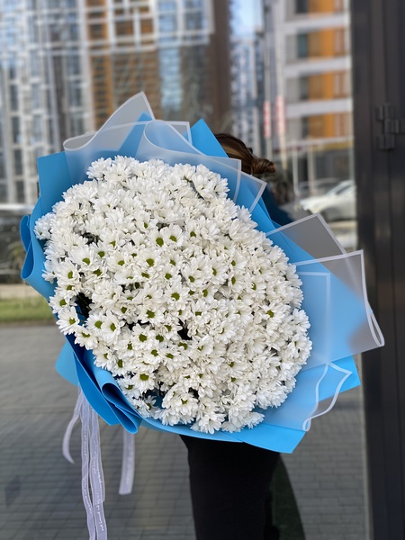 Букет «Зрелость» — 33 ромашковые хризантемы