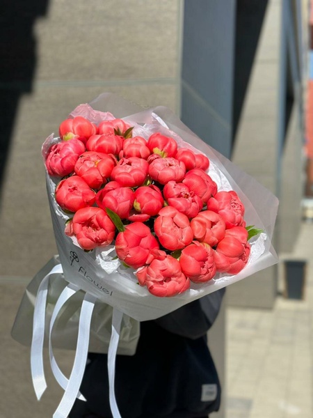 23 красных пиона