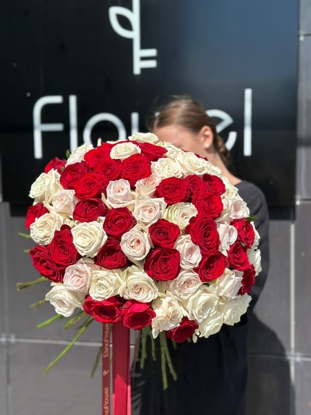 61 красно белая роза