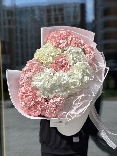 11 гортензий