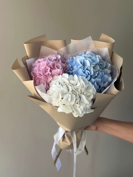 Букет из 3 гортензий разных цветов